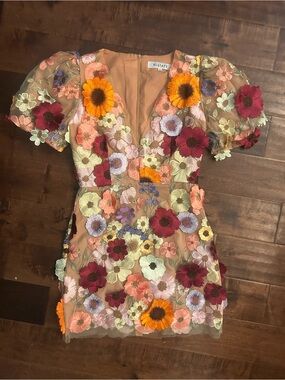 Elliatt Peach Sheer Mini Dress with Multicolor Floral Embroidery